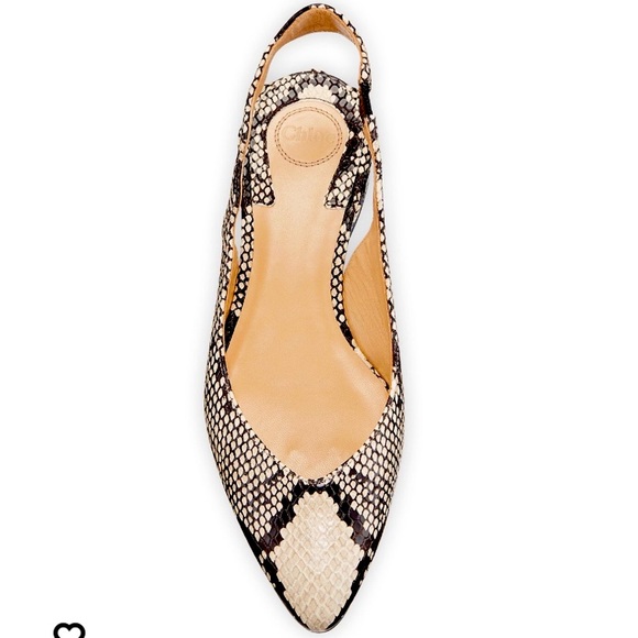 Chloe Shoes - CHLOE LAURENA SCALLOPED SLINGBACK BALLET FLATS SNAKE COLOR ETERNAL GRAY SIZE 8.5